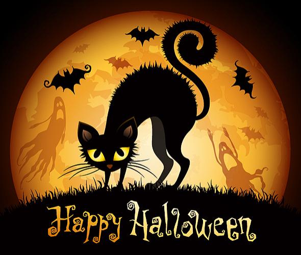 Harrowing Horror Stories of Killer Kitties