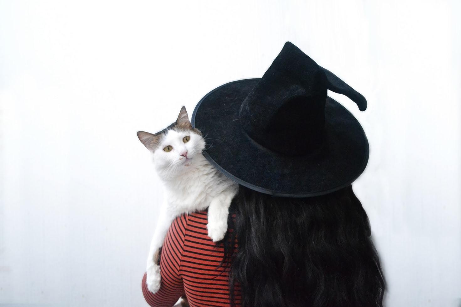 Spooky Halloween Cat Toys