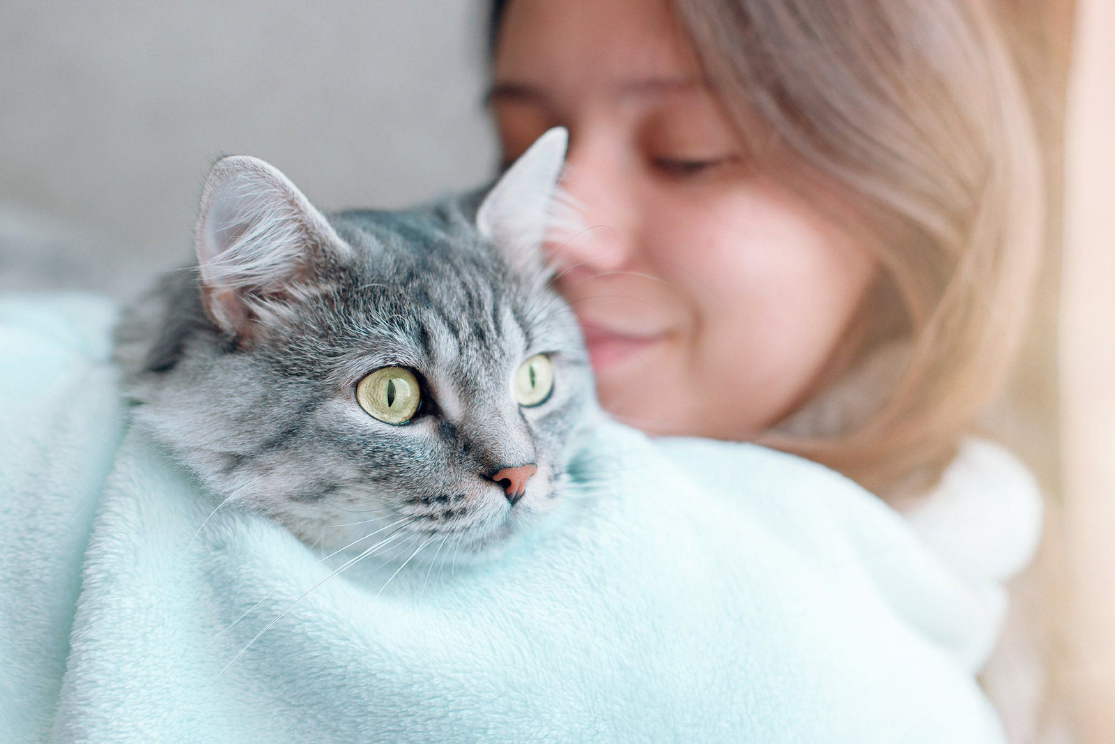 8 Wonderful Holiday Stories For Kids Featuring Felines