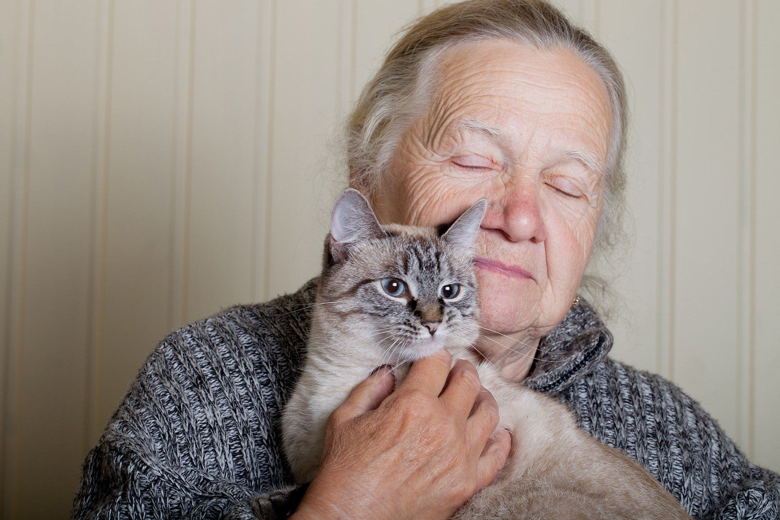 Senior Cats for Senior Citizens