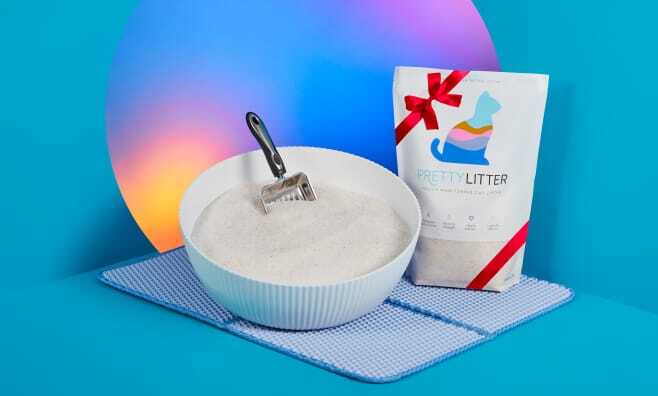 Litter Mat Holiday Bundle