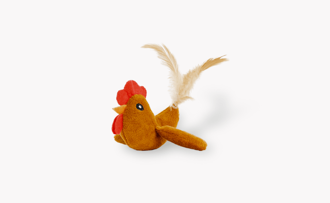 Pecks the Turkey Toy