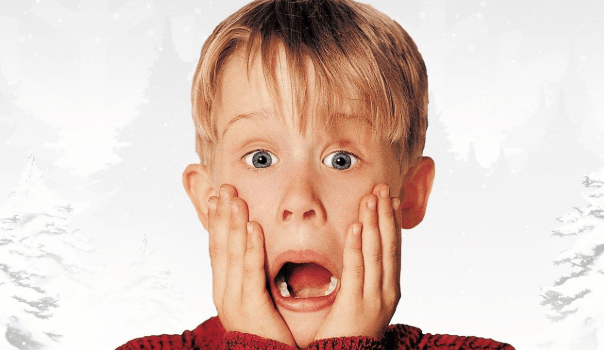 Overcoming Ailurophobia: How to Combat a Fear of Cats