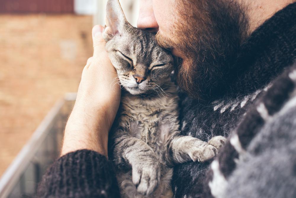 5 Ways to Love and Appreciate Your Cat on National Hug Your Cat Day!