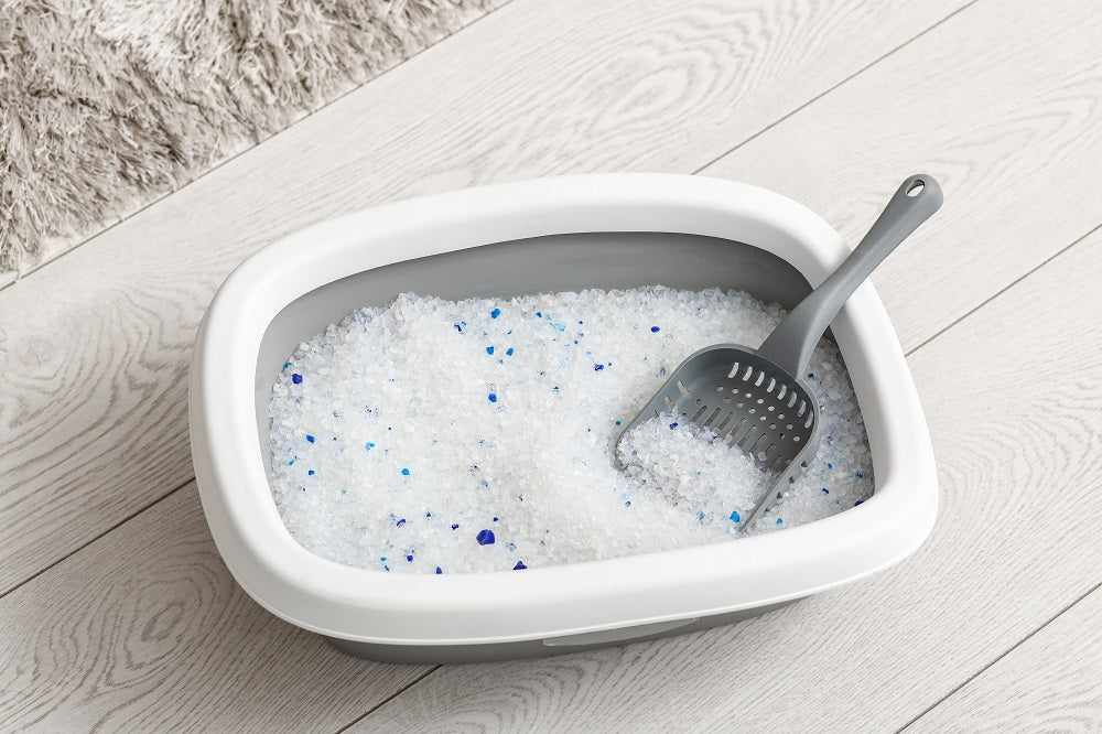 Is Silica Cat Litter Safe? What Cat Parents Should Know