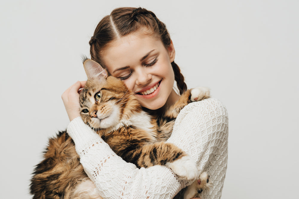 Managing Feline Lower Urinary Tract Disease (FLUTD)
