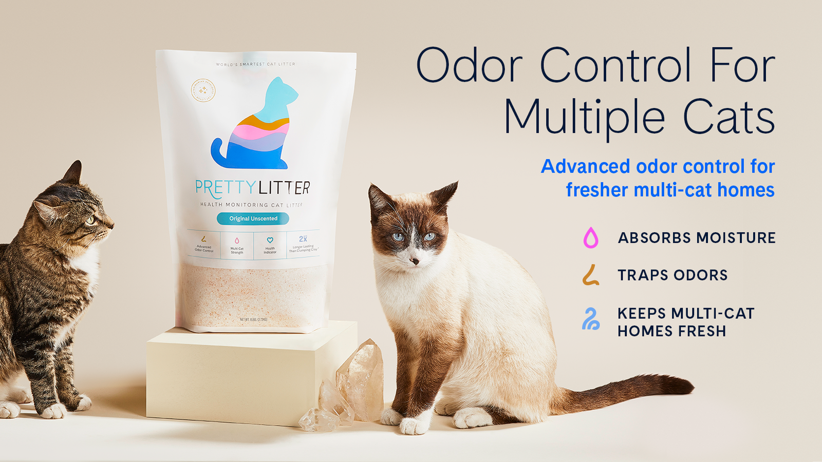 Best Multi Cat Litter for Odor Control
