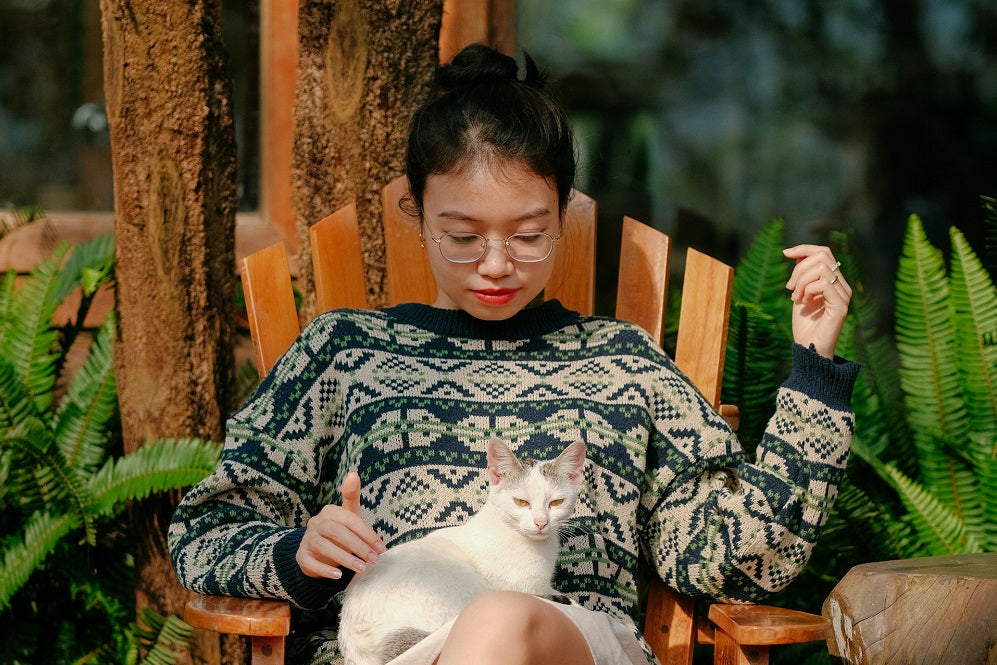 Preparing Your Home and Cat for a Pet Sitter