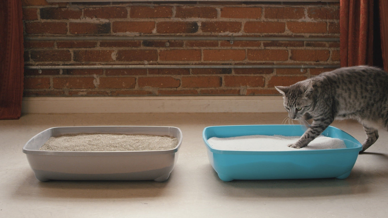 ilica gel vs clumping clay cat litter