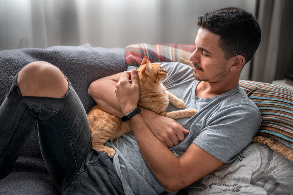 Understanding Your Cat's Adjustment Period to a New Home