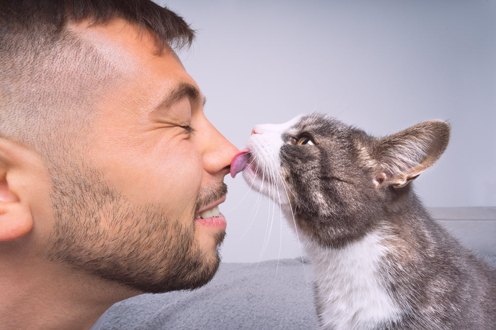 Why Does My Cat Lick Me Then Bite Me?