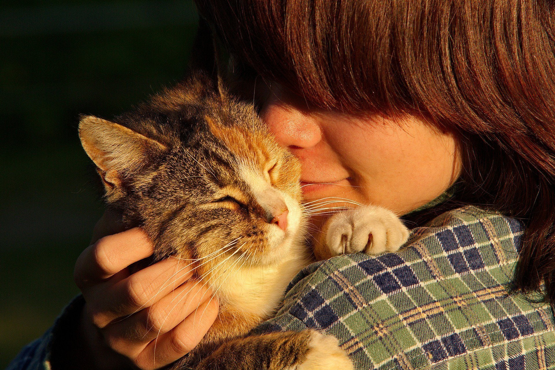 Just the Cat Facts: Kitty-Loving Teachers Who Make a Difference