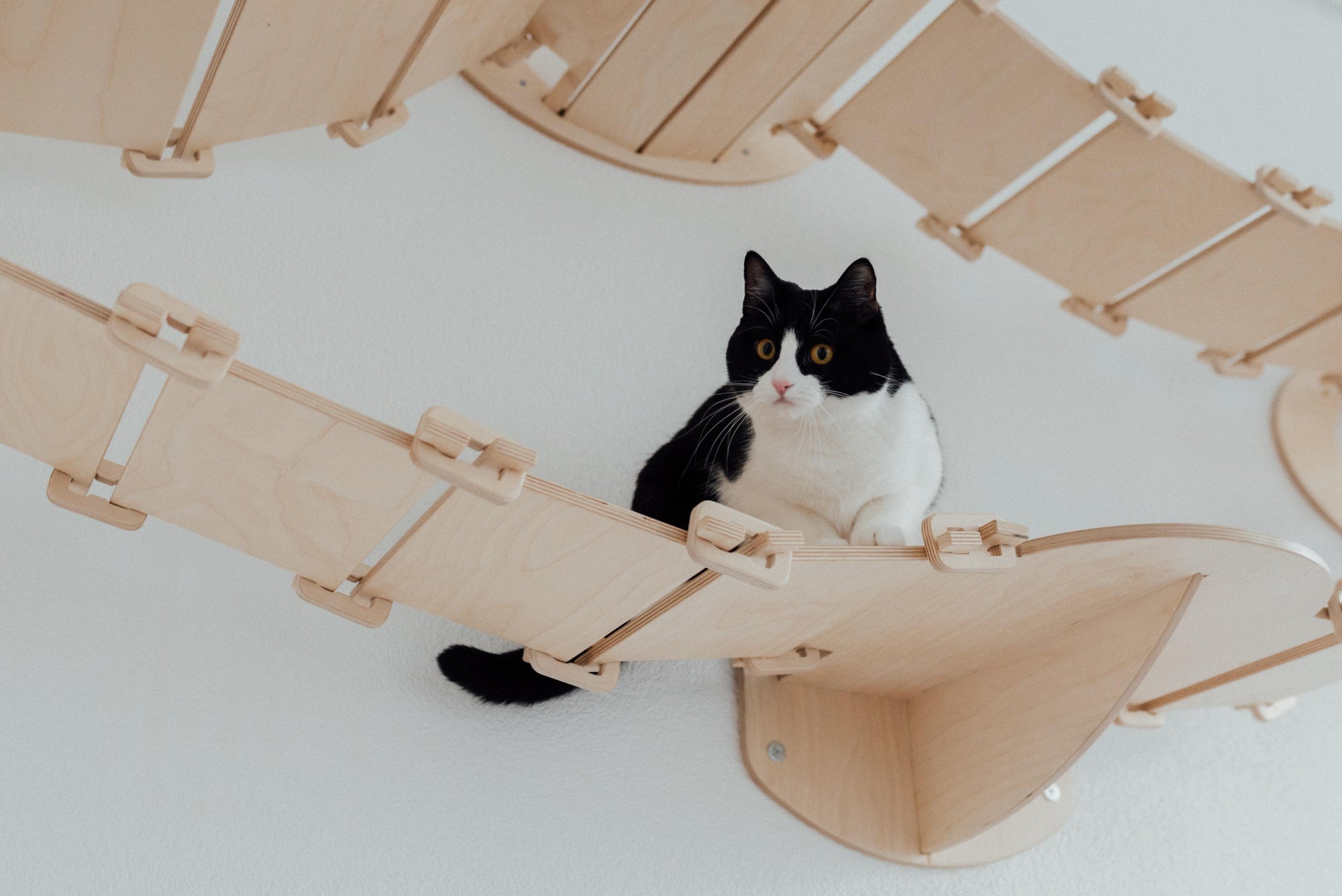 How to Make a Homemade Cat House