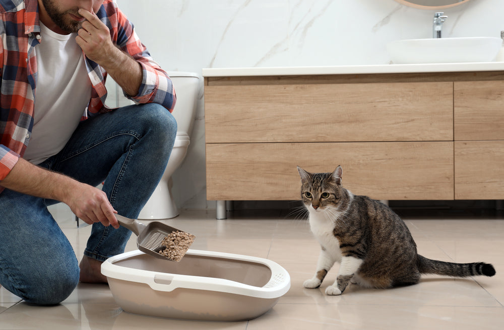 Man cleaning cat litter box with cat