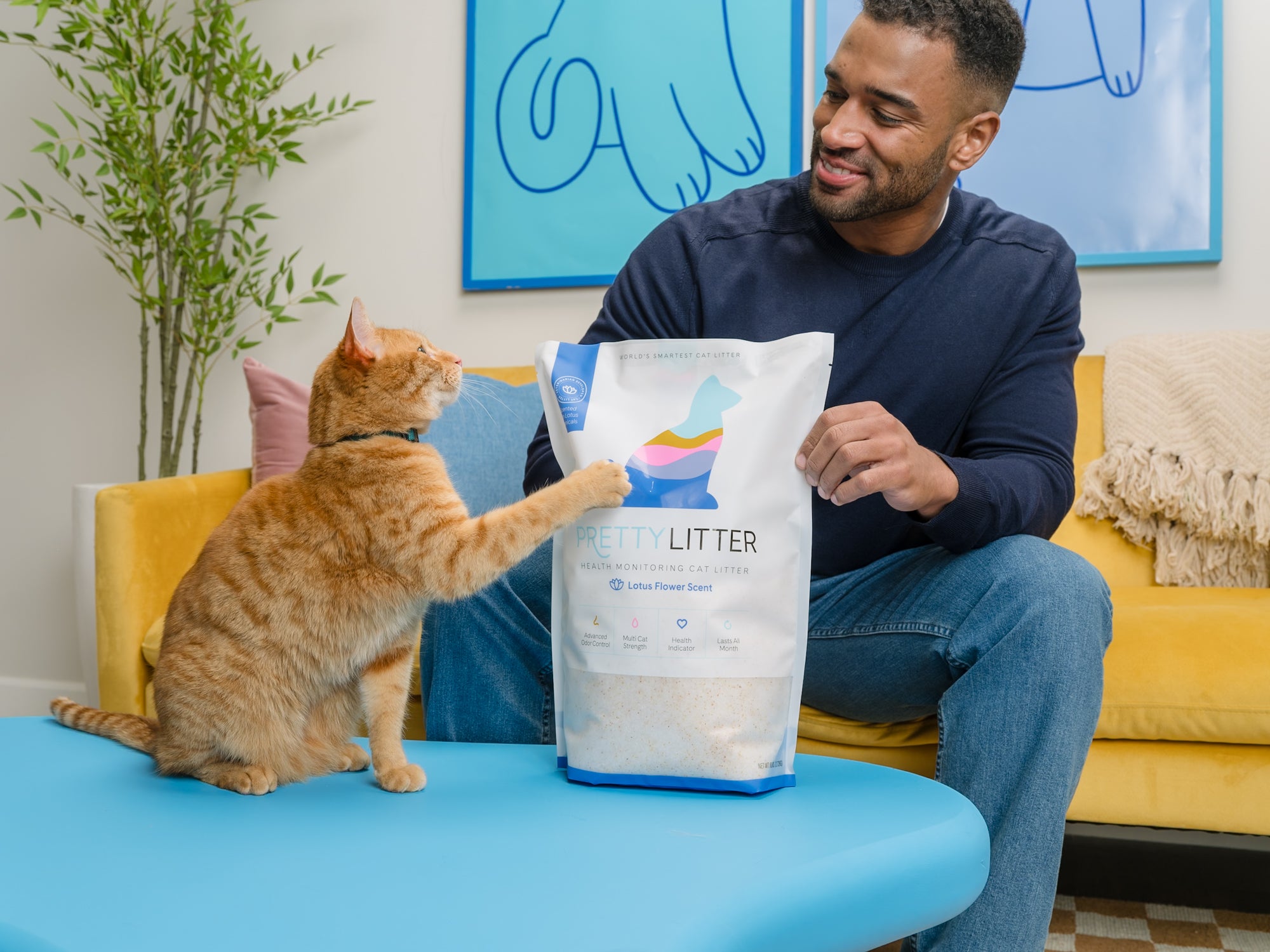 PrettyLitter Calm Aloe Scented Cat Litter, 6lb