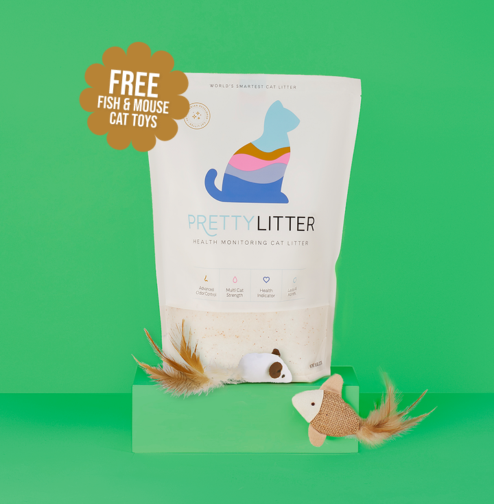 PrettyLitter Mouse & Fish 2-Pack Cat Toy