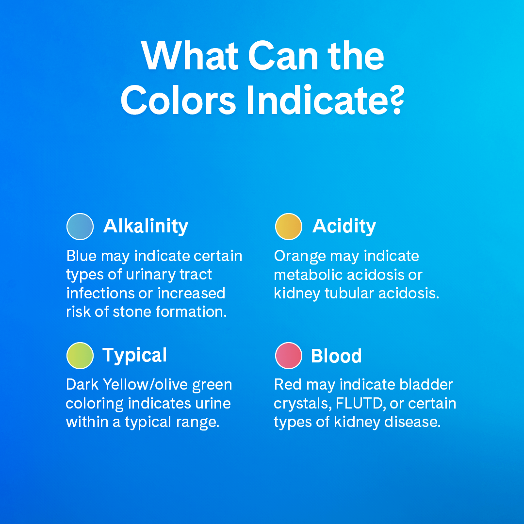 PrettyLitter Original Unscented Cat Litter, 6lb