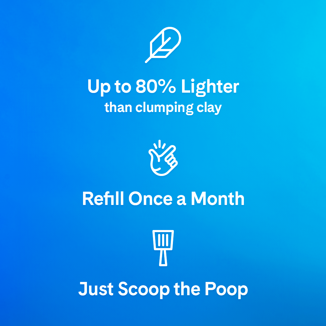 PrettyLitter Original Unscented Cat Litter, 6lb