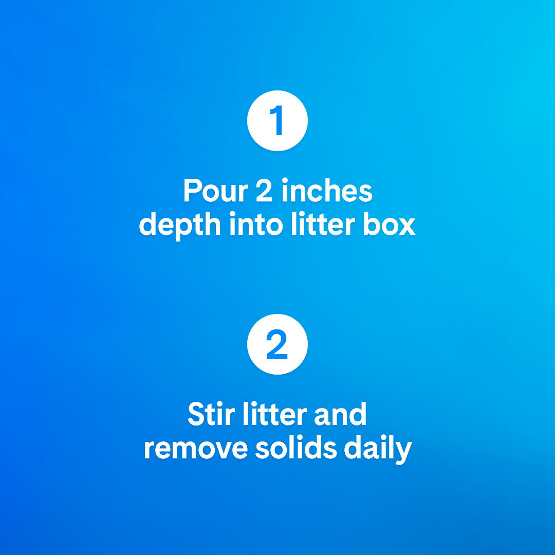 PrettyLitter Original Unscented Cat Litter, 6lb