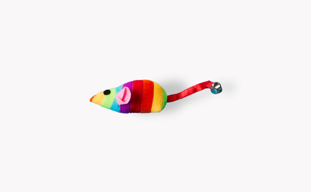 Rainbow the Mouse Toy